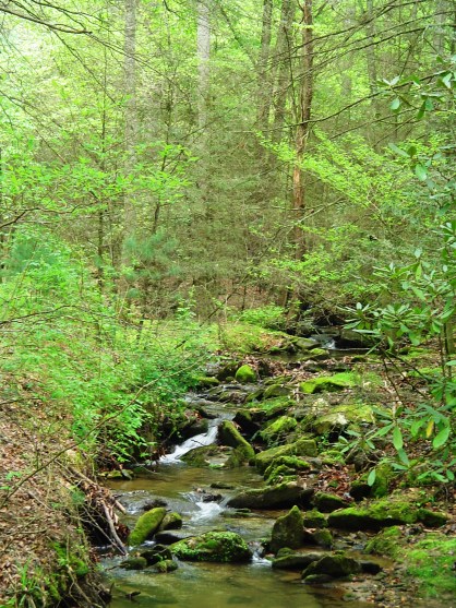creek-at-stone-mtn creek-at-stone-mtn
