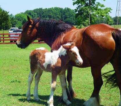 Two Weeks Later Two Weeks Later